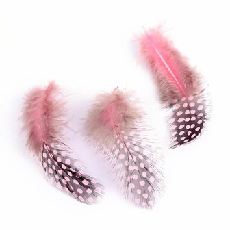 Parelhoen veren roze