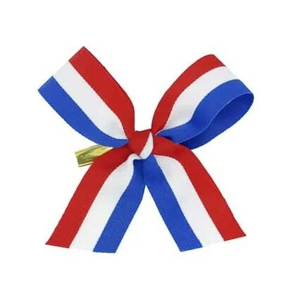 Strik nederlandse vlag 2.5 cm breed lint op clip