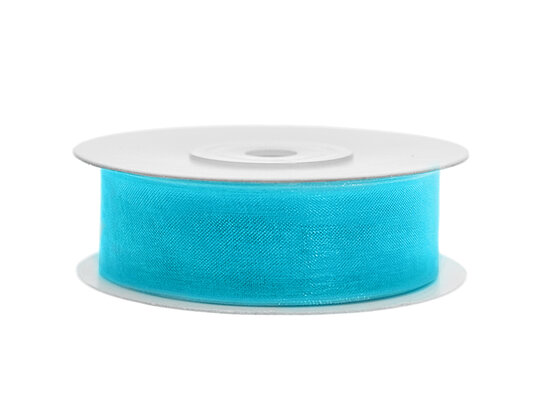 Organza lint 25 mm aqua